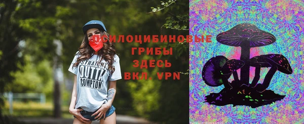 ПСИЛОЦИБИНОВЫЕ ГРИБЫ Зеленокумск