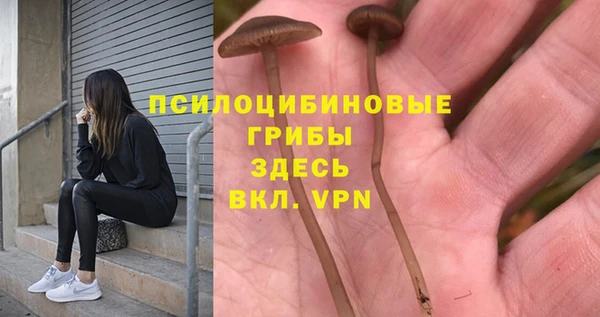 метадон Заводоуковск