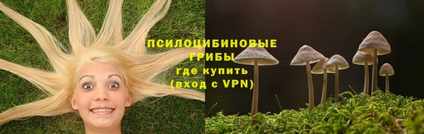 метадон Заводоуковск