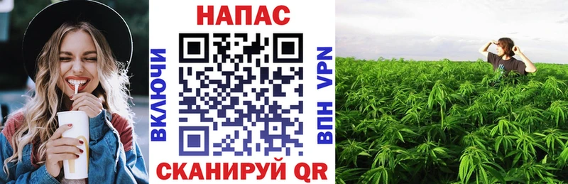 Канабис White Widow  ссылка на мегу   Сосногорск  где продают наркотики 